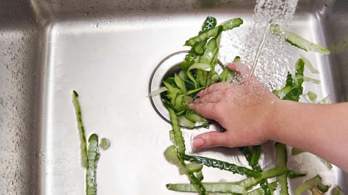 What You Should Never Put Down Your Garbage Disposal_ Niceleys Heating Cooling Appliance Repair