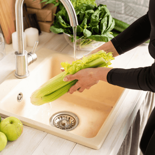 What You Should Never Put Down Your Garbage Disposal_celery_Niceleys heating cooling appliance repair