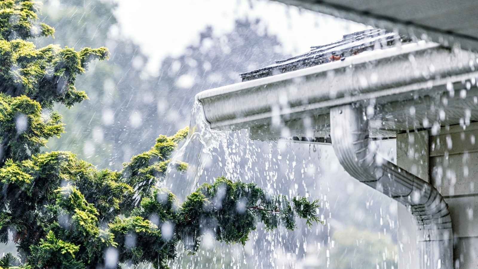 Sump Pump Testing & Maintenance Tips  - Niceley's Heating Cooling Appliance repair