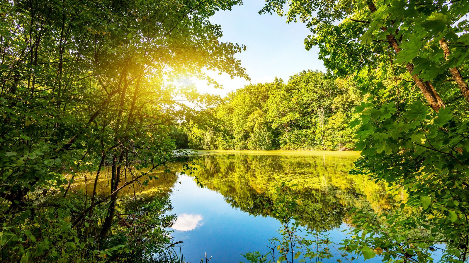 appliance repair in nky- lakeside park- Niceley's Heating Cooling Appliance Repair